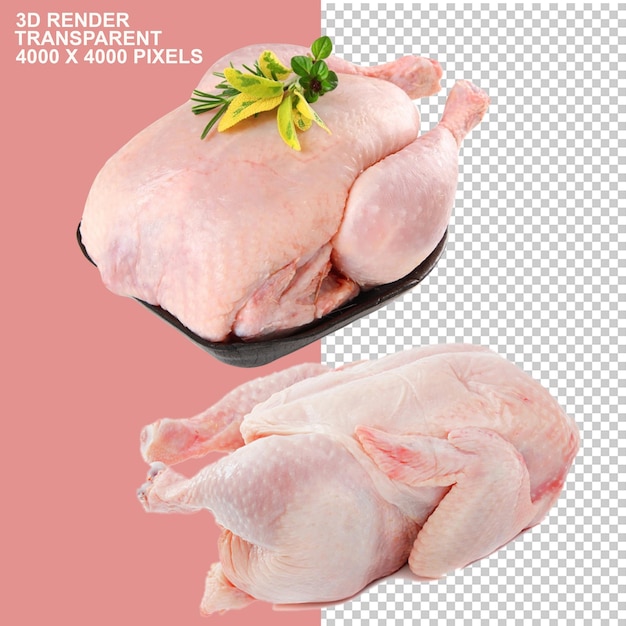 신선한 고기 보티 티카 카바브 카바브 말라이 브로스트 그릴 세크