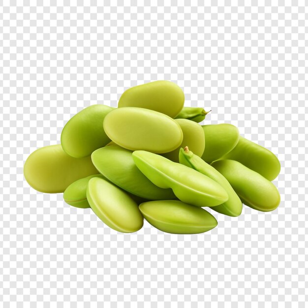 fresh christmas lima beans isolated on transparent background