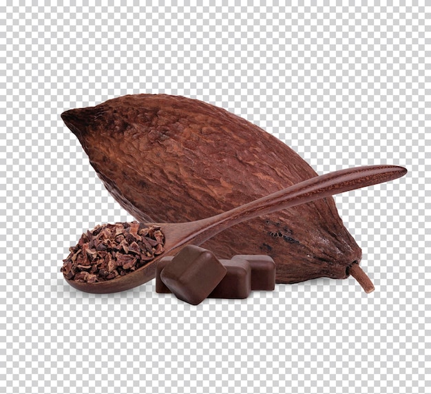 Fresh cocoa bean is processed into chocolate bars or concentrated cocoa isolated Premium PSD