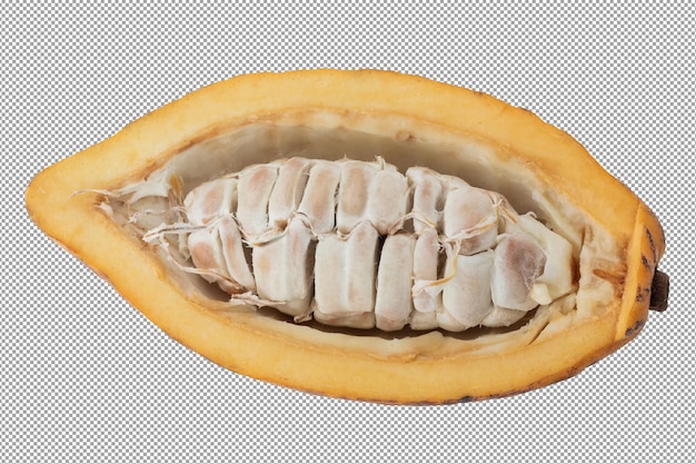 Fresh cocoa fruits isolated on a transparent background