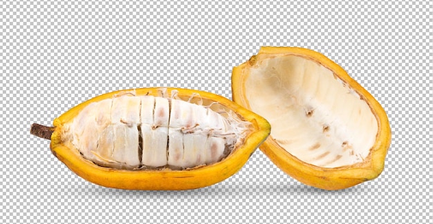 PSD fresh cocoa isolated on alpha layer