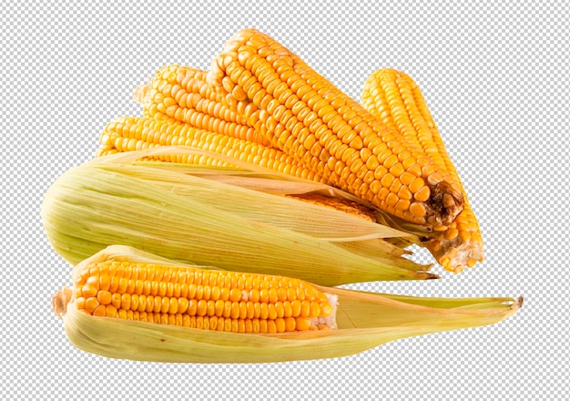 Свежая кукуруза на прозрачном фоне png