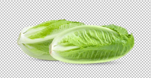 Fresh cos lettuce isolated on alpha layer