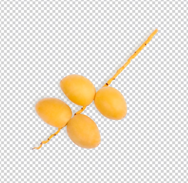 Fresh dates isolated premium psd top view