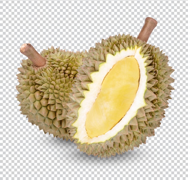 Fresh Durian Fruit isolated