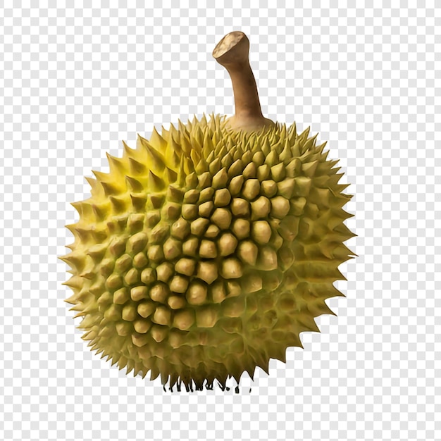 PSD Свежие фрукты durian png изолированы на прозрачном фоне премиум psd