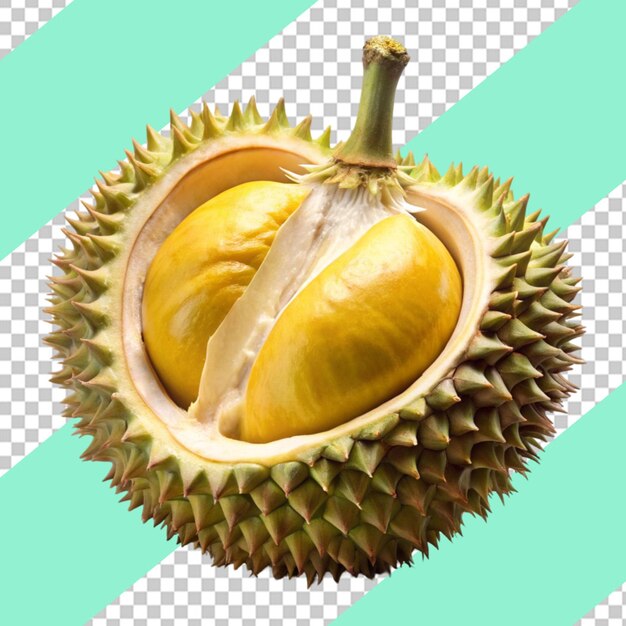 PSD fresh durian fruits