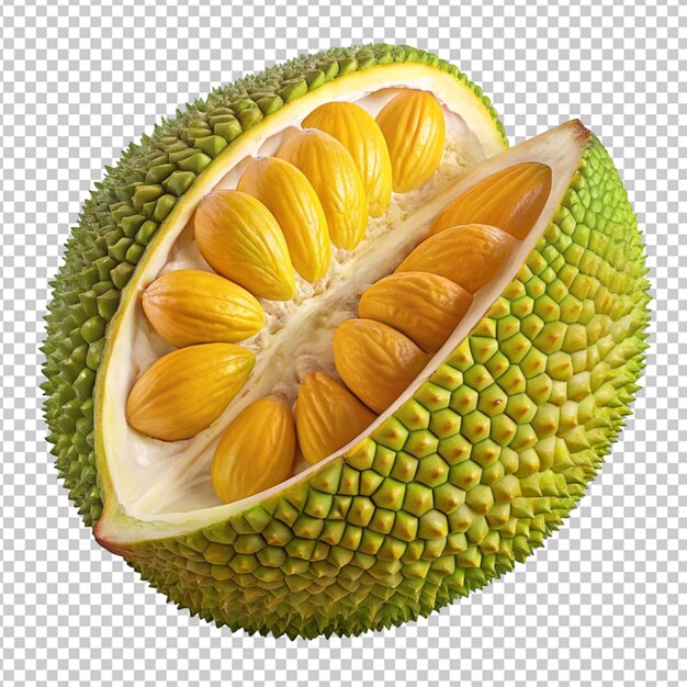 PSD fresh durian tropical fruit