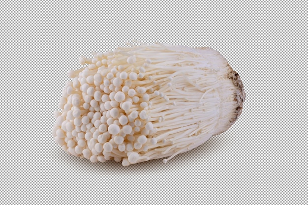 PSD fresh golden needle mushroom or enoki isolated on alpha background