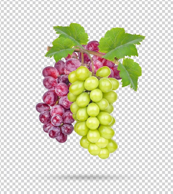 PSD fresh grape with leaves isolated premium psd