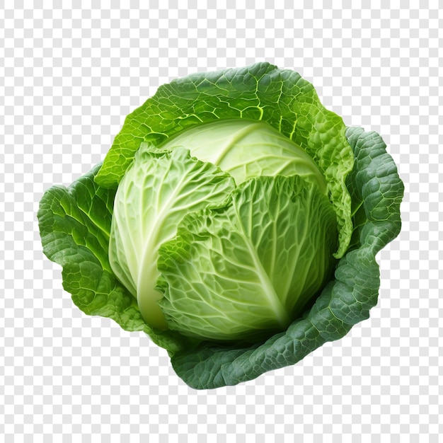 Fresh green cabbage isolated on transparent background