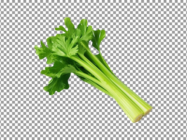 PSD fresh green celery isolated on transparent background