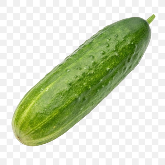 Fresh Green Cucumber on Transparent Background Healthy Food and Vegetable Illustration