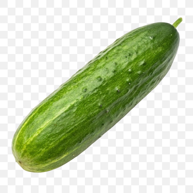 Fresh Green Cucumber on Transparent Background Healthy Food and Vegetable Illustration