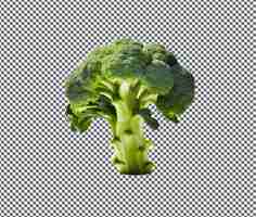 PSD fresh green goliath broccoli in sunlight isolated on transparent background