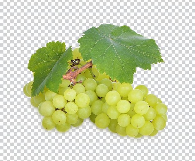 Fresh green grape isolated