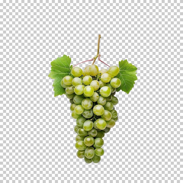 PSD fresh green grapes bunch