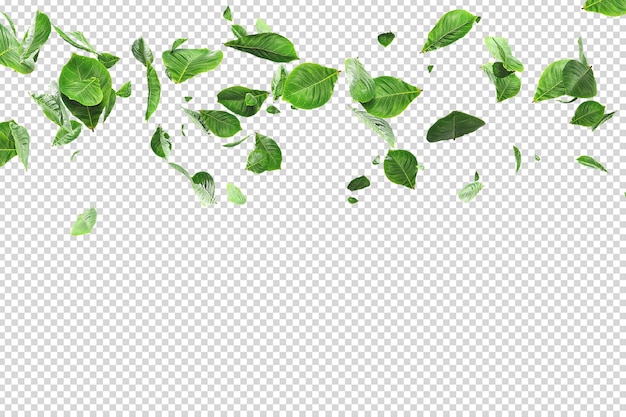 PSD fresh green leaves overlay greenery