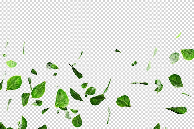 PSD fresh green leaves overlay greenery