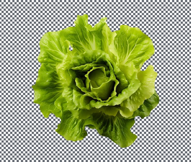 PSD fresh green lettuce isolated on a transparent background
