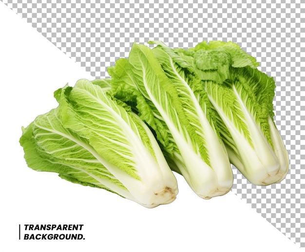 Свежий зеленый салат на прозрачном фоне