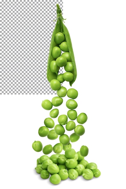 Fresh green peas spilling out of the pod isolated on transparent background