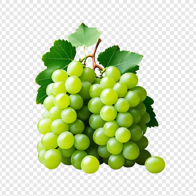 PSD 新鮮な緑のワインのブドウ png 透明な背景に隔離されたプレミアムpsd
