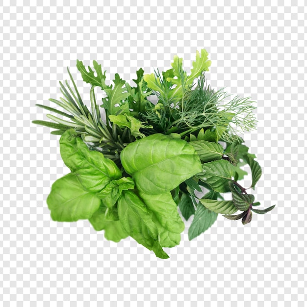 Fresh herbs