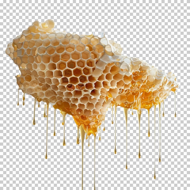 Miele fresco con goccia di miele isolata su uno sfondo trasparente