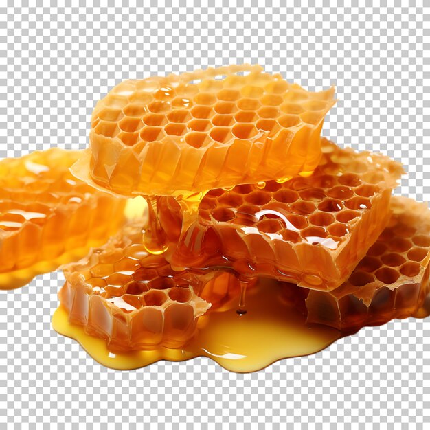 Fresh honeycombs isolated on transparent background