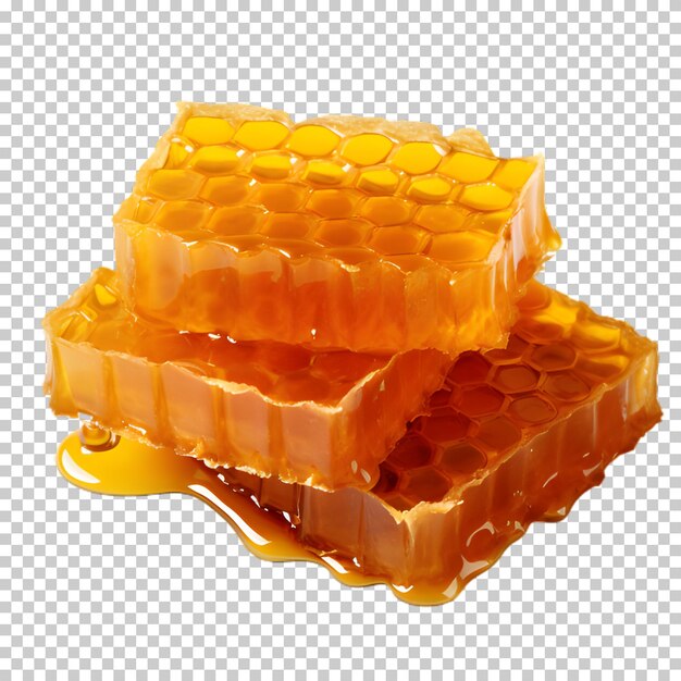 Fresh honeycombs isolated on transparent background