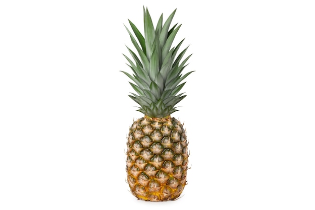 PSD fresh juicy tasty pineapple whole isolated