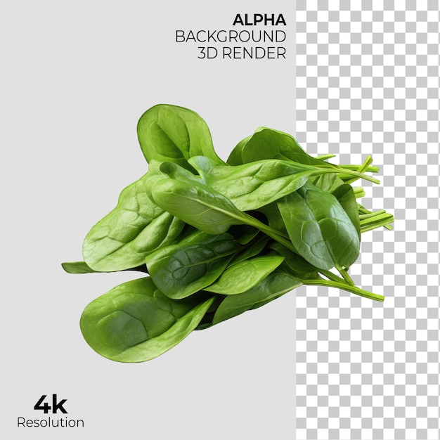 PSD fresh leaves isolated on transparent background