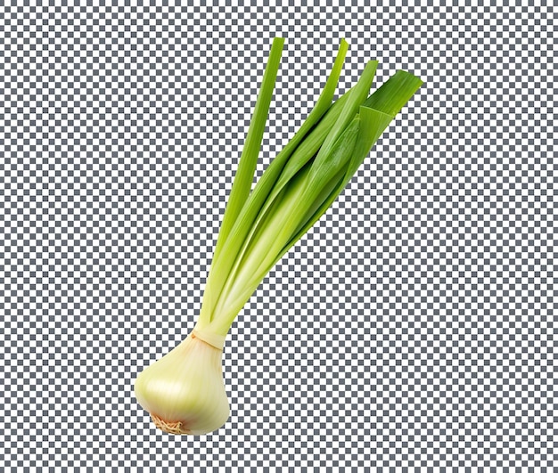 PSD fresh leek isolated on a transparent background