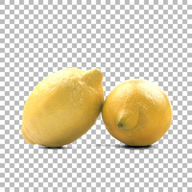 Limone fresco per il design dei tuoi frutti