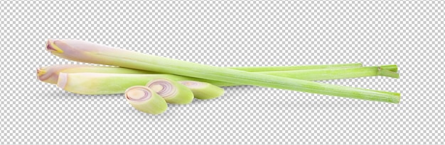 Fresh Lemongrass isolated on alpha layer