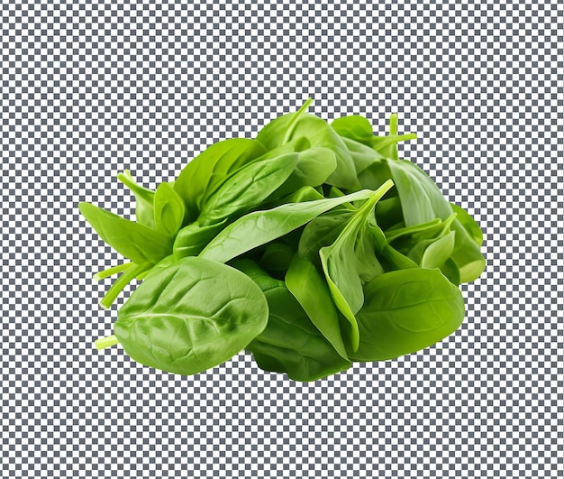 PSD fresh lemony leafy green isolated on transparent background