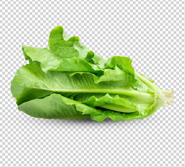 Fresh lettuce isolated premium psd
