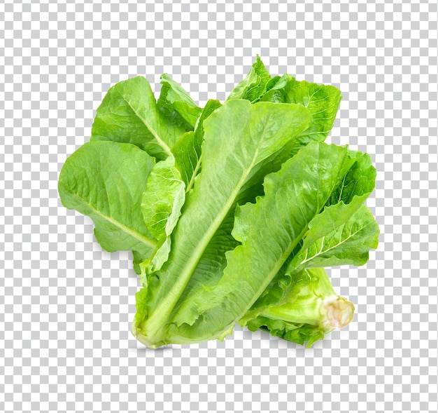 Fresh lettuce isolated Premium PSD