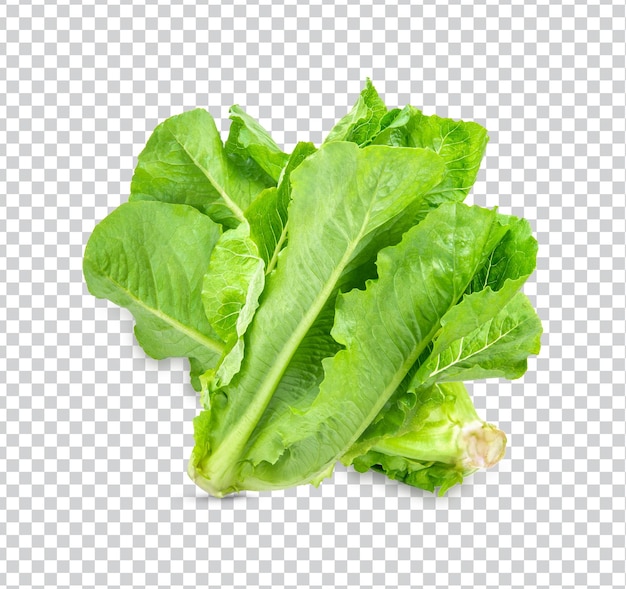 Fresh lettuce isolated premium psd