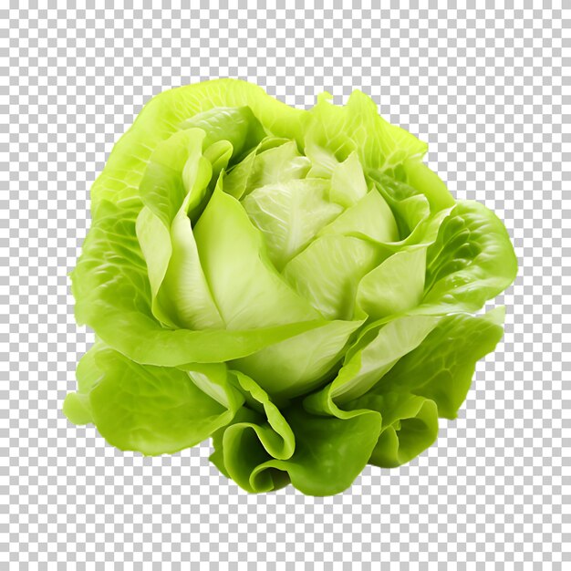 PSD fresh lettuce png on transparent background