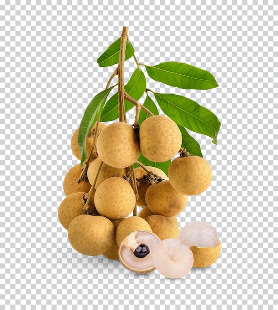 PSD fresh longan with leaf isolated premium psd