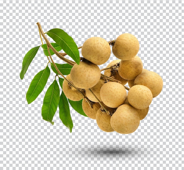 PSD longan fresco con foglia isolata