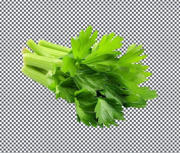 Fresh Lovage isolated on white background