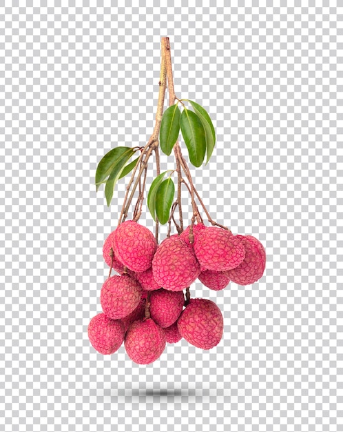 PSD fresh lychee bunch with leaves isolated