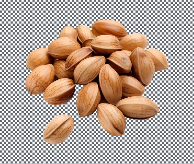 透明な背景に隔離された新鮮で壮大なXimenia Americana