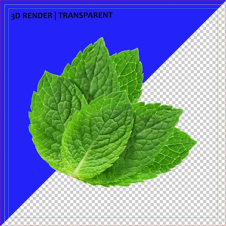 PSD свежие листья мяты 3d-рендер