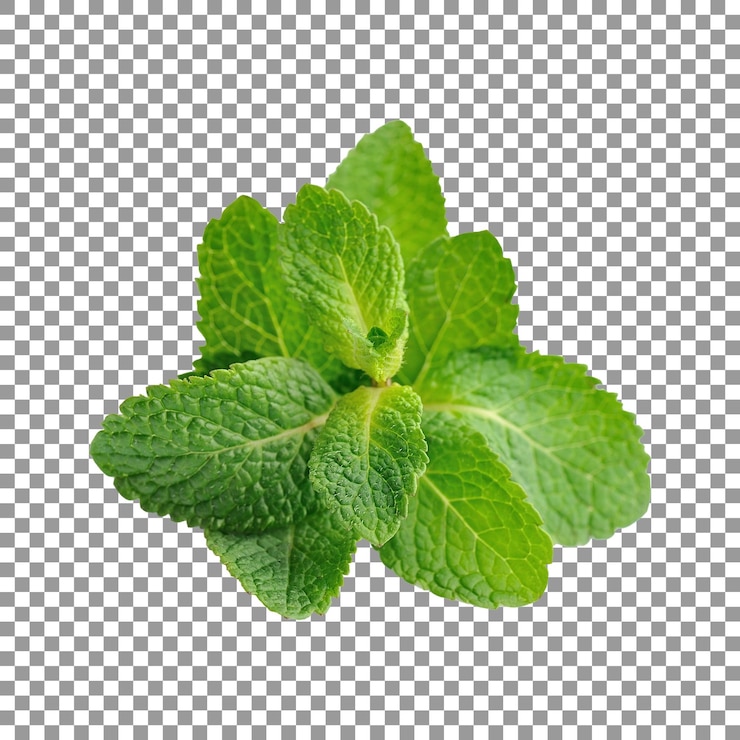 PSD fresh mint leaves isolated on transparent background