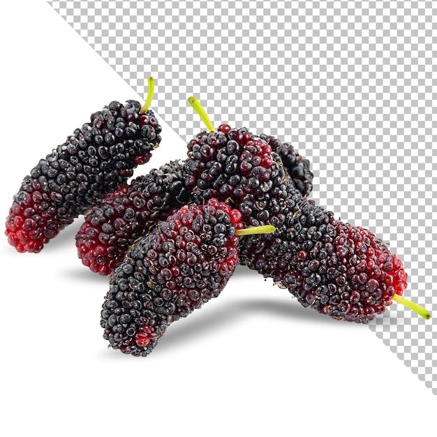 fresh Mulberry fruits isolated on white surface PNG transparent background