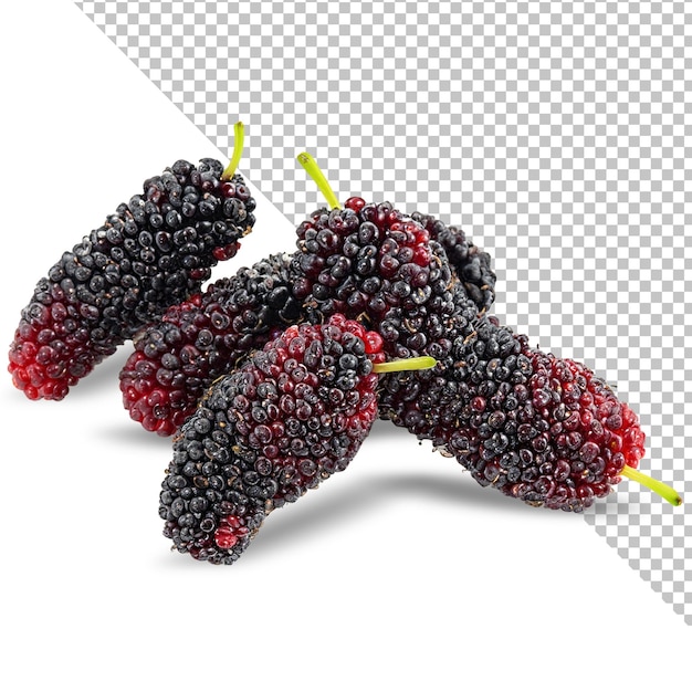 PSD fresh mulberry fruits isolated on white surface png transparent background